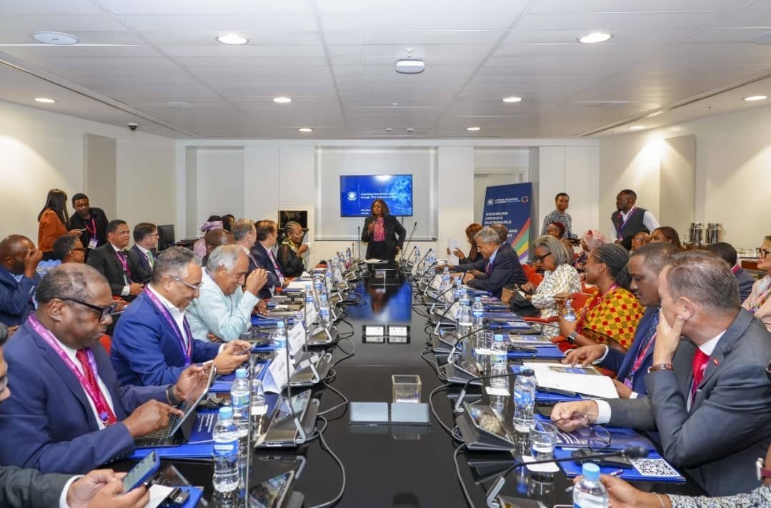 Delegates in a high-level round-table session